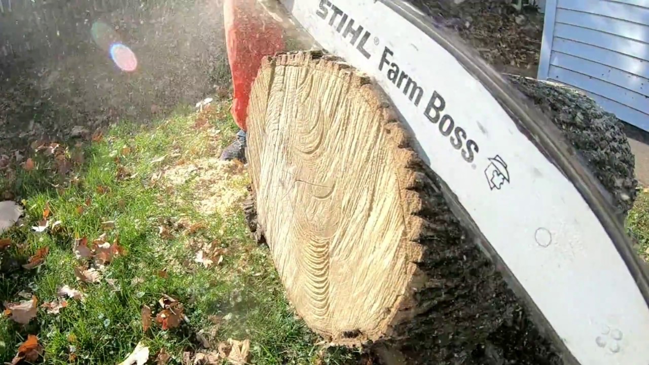 stihl ms 271 farm boss review